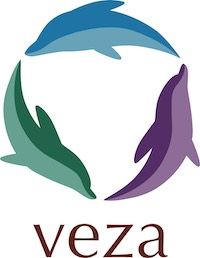 Veza Global logo